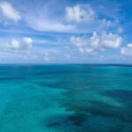 listing image thumbnail with ID 65982