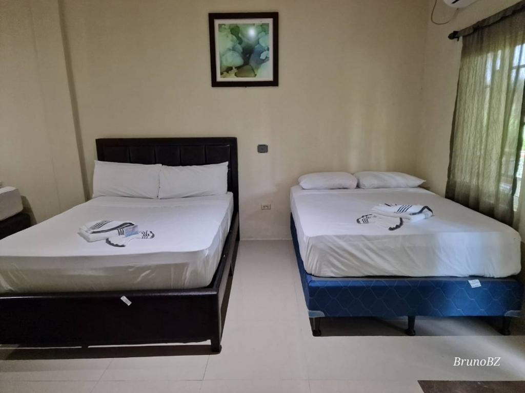 listing image with ID 64720