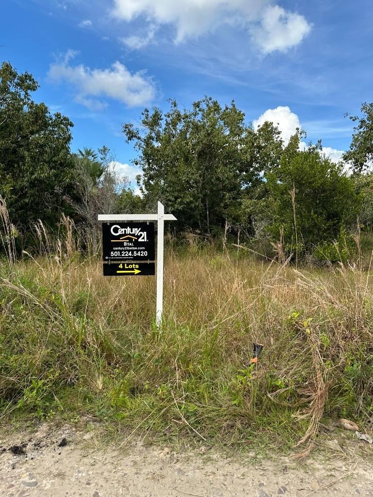 listing image with ID 63994