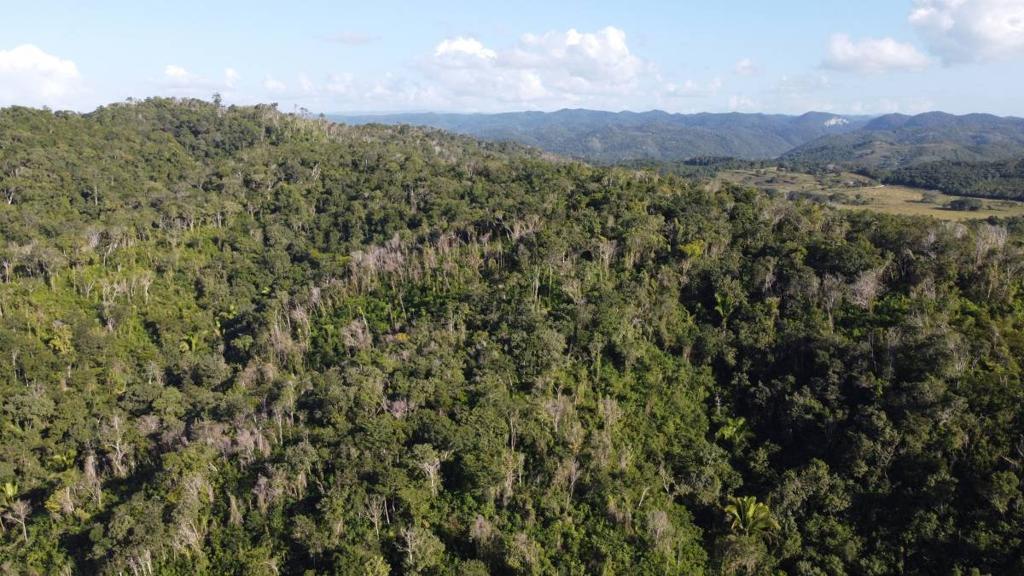 listing image with ID 67761