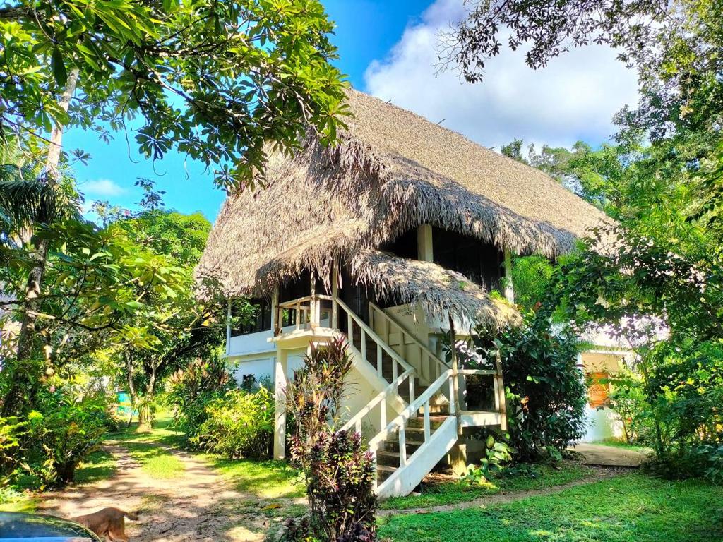 listing image with ID 65498