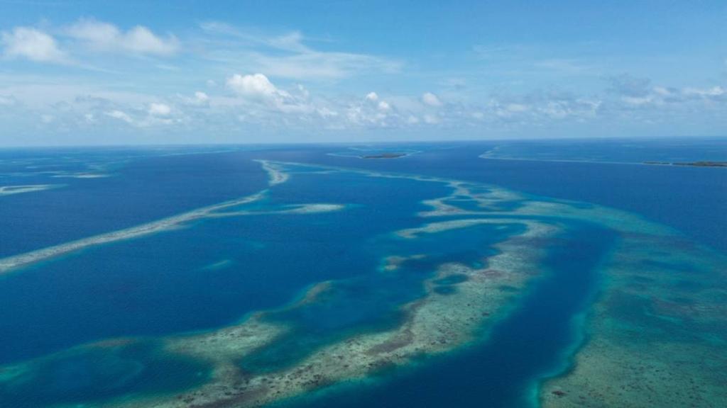 listing image with ID 66869