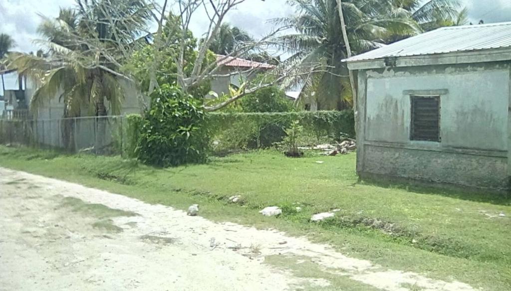 listing image with ID 65171