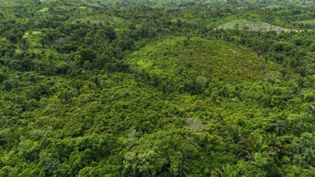 listing image with ID 66673