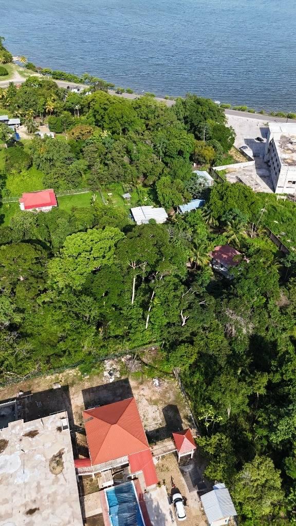 listing image with ID 64715