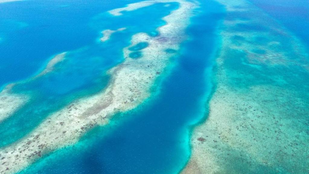 listing image with ID 65096