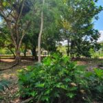 listing image thumbnail with ID 64343