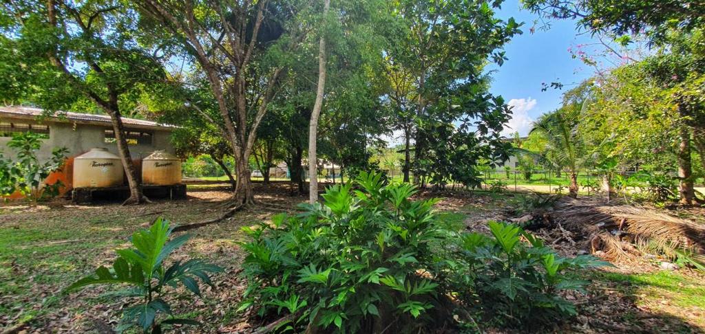 listing image with ID 64343