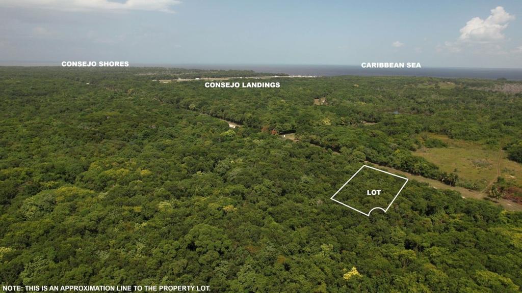 listing image with ID 69319