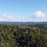 listing image thumbnail with ID 67767