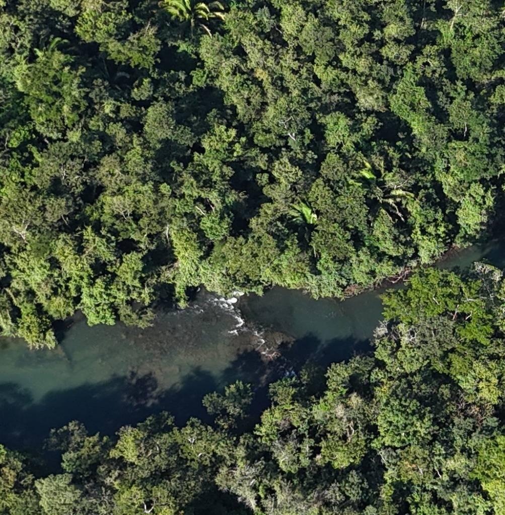 listing image with ID 64597