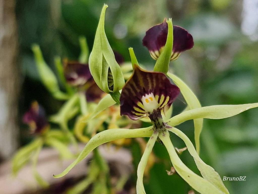 listing image with ID 64991