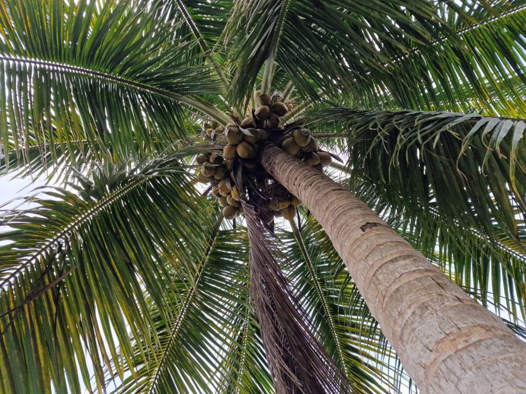 listing image with ID 63706