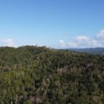 listing image thumbnail with ID 67766