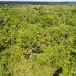 listing image thumbnail with ID 63960