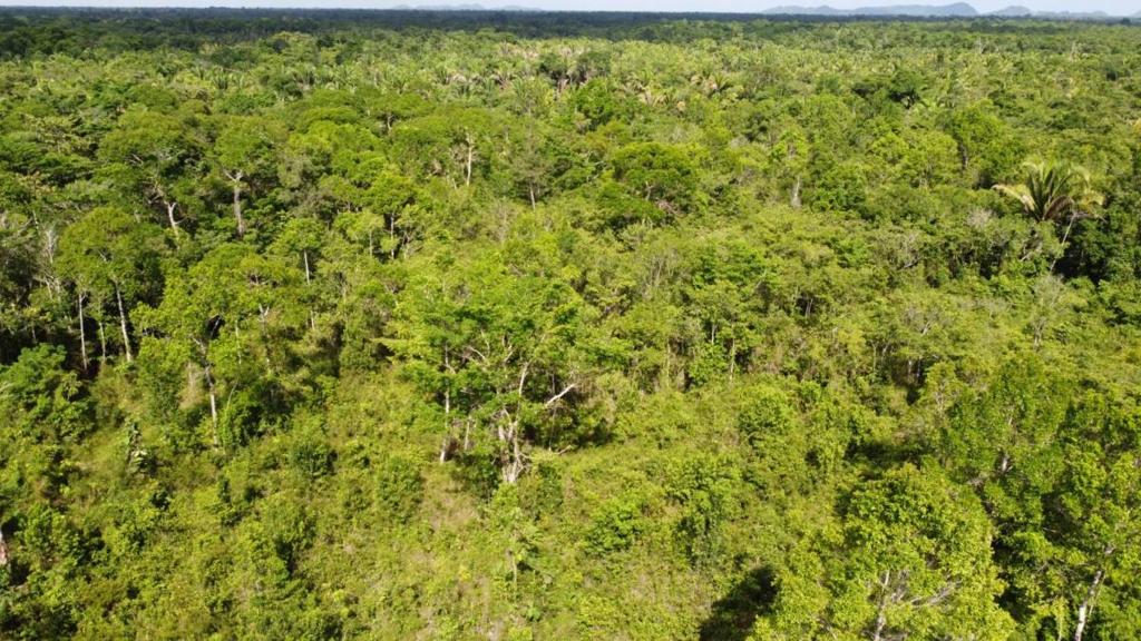 listing image with ID 63960