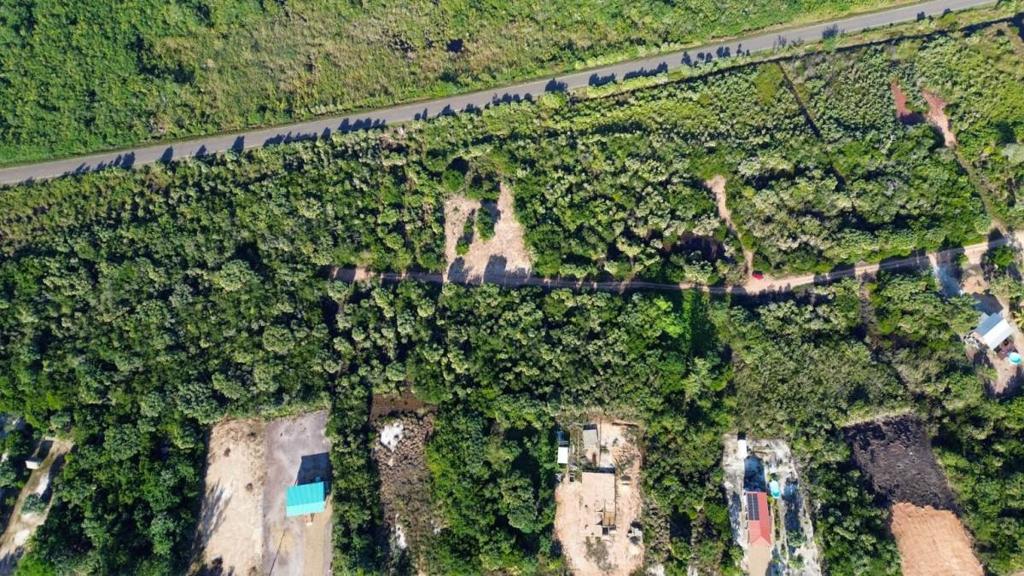 listing image with ID 67811