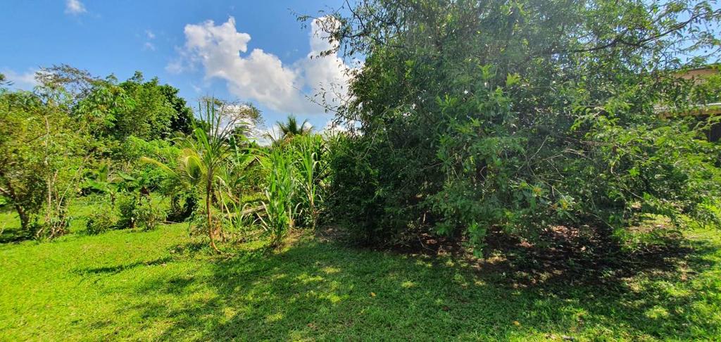 listing image with ID 63828