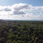 listing image thumbnail with ID 65546