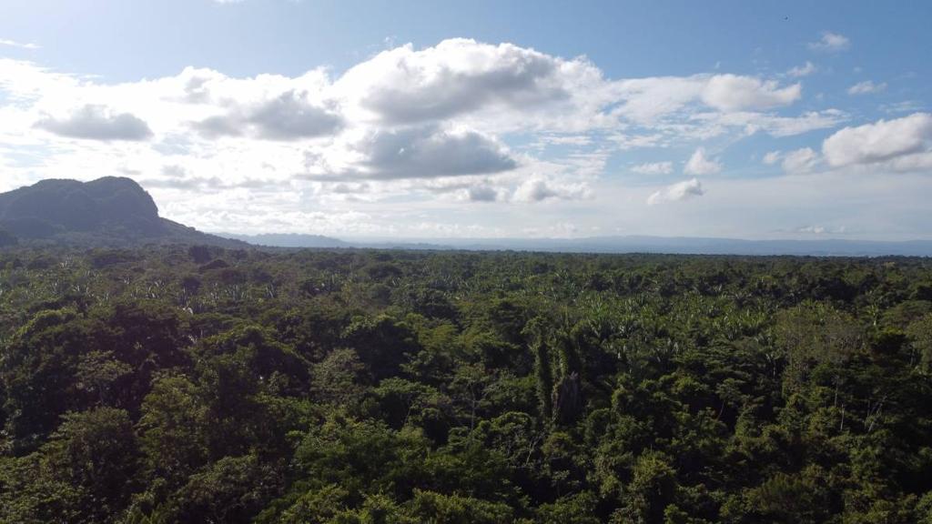 listing image with ID 65546