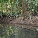 listing image thumbnail with ID 67535