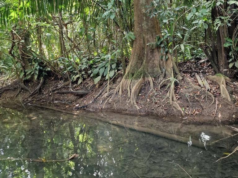 listing image with ID 67535