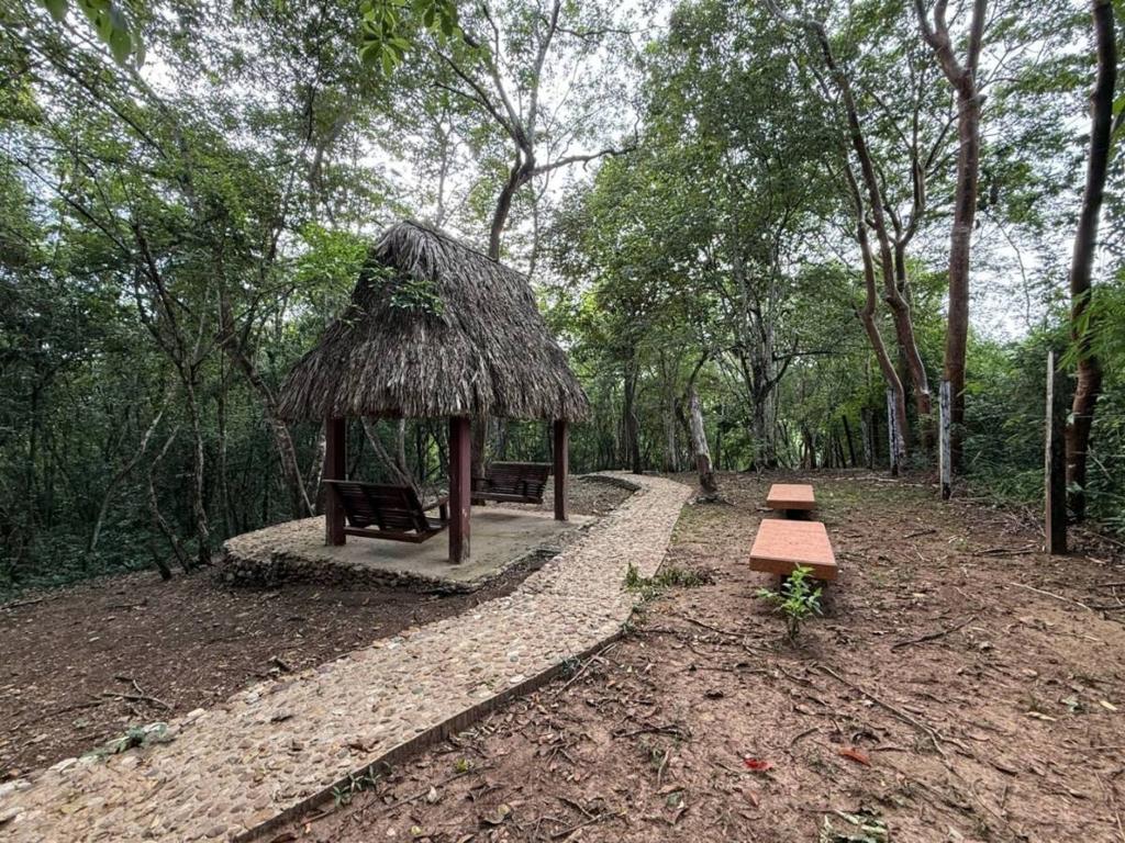 listing image with ID 65606