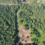 listing image thumbnail with ID 65828