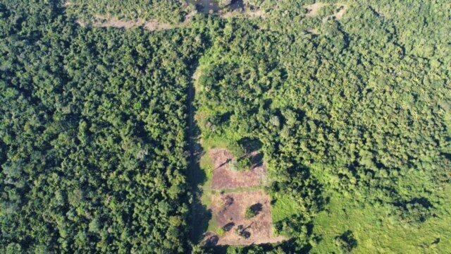 listing image with ID 65828