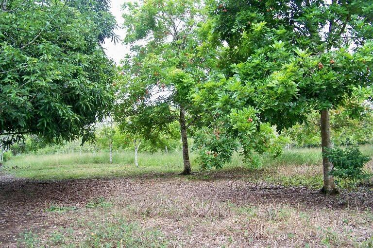 listing image with ID 63576