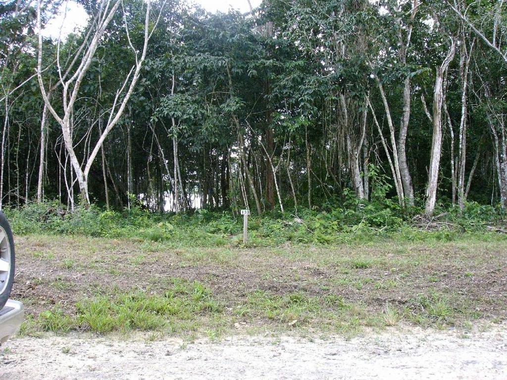 listing image with ID 64571