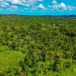 listing image thumbnail with ID 69111