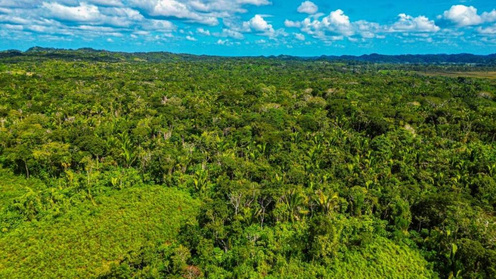 listing image with ID 69111