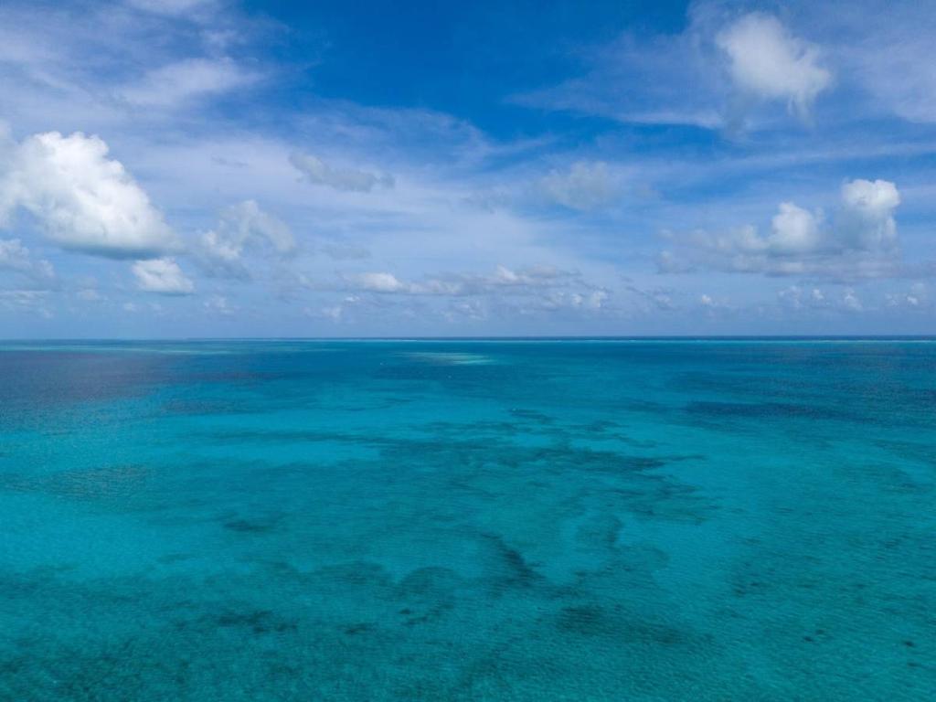 listing image with ID 65981