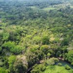 listing image thumbnail with ID 69185