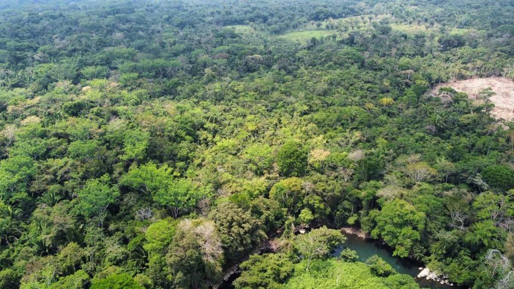 listing image with ID 69185