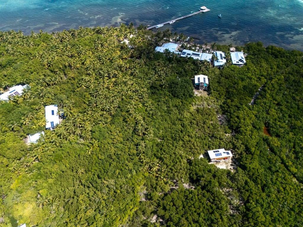 listing image with ID 65971