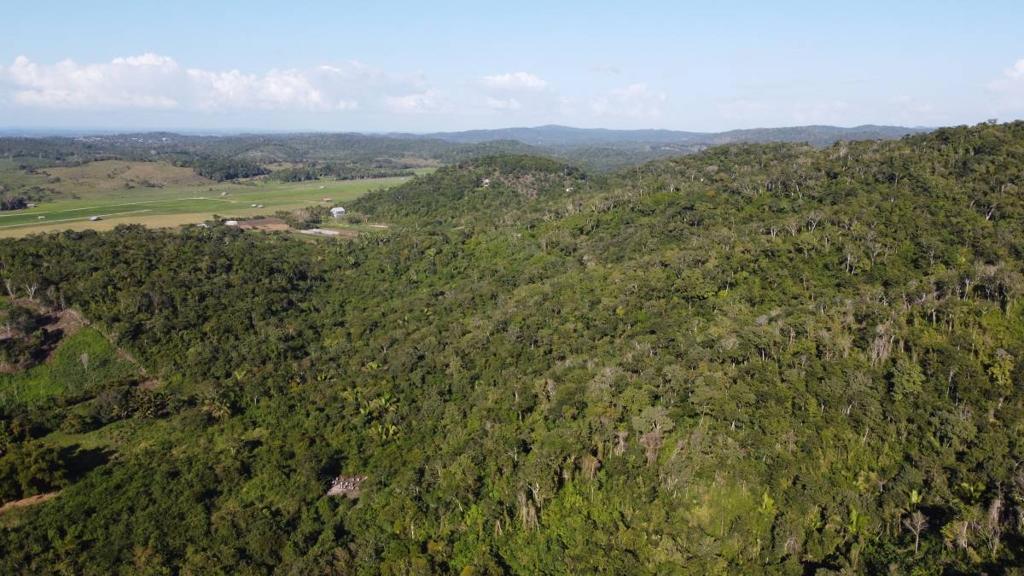 listing image with ID 67580