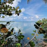 listing image thumbnail with ID 64487