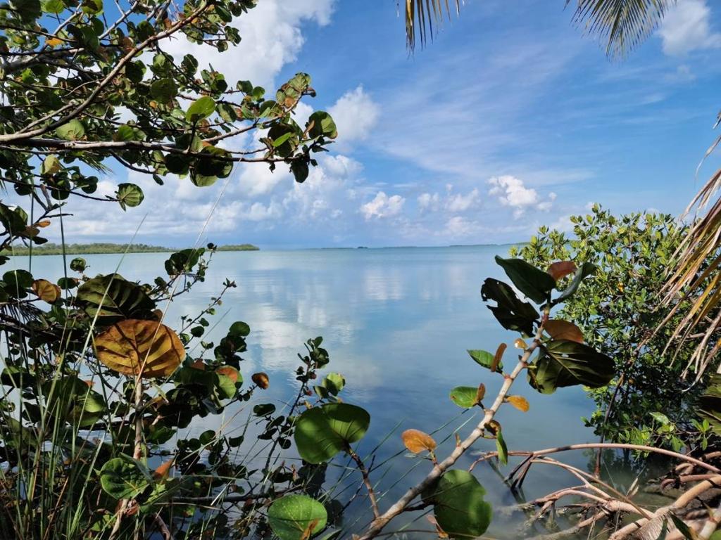 listing image with ID 64487