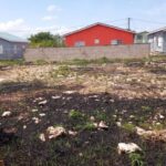 listing image thumbnail with ID 66530