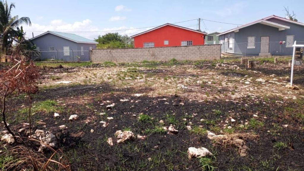 listing image with ID 66530