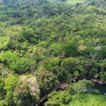 listing image thumbnail with ID 69189