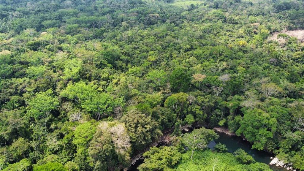 listing image with ID 69189