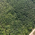 listing image thumbnail with ID 68071