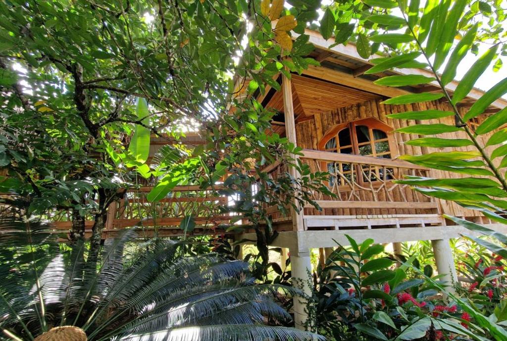 listing image with ID 64967