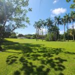 listing image thumbnail with ID 67741