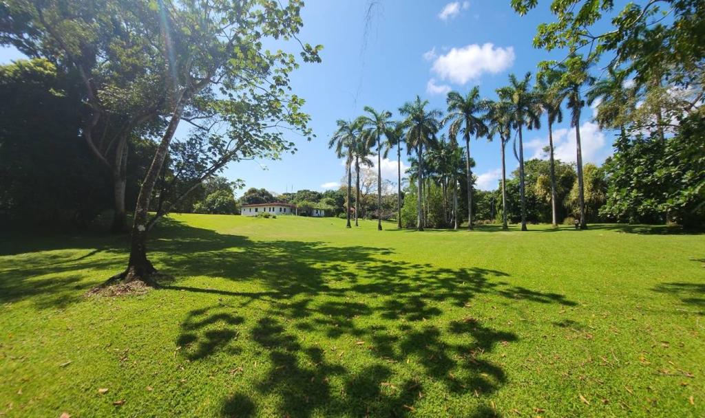 listing image with ID 67741