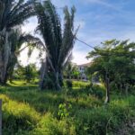 listing image thumbnail with ID 67198