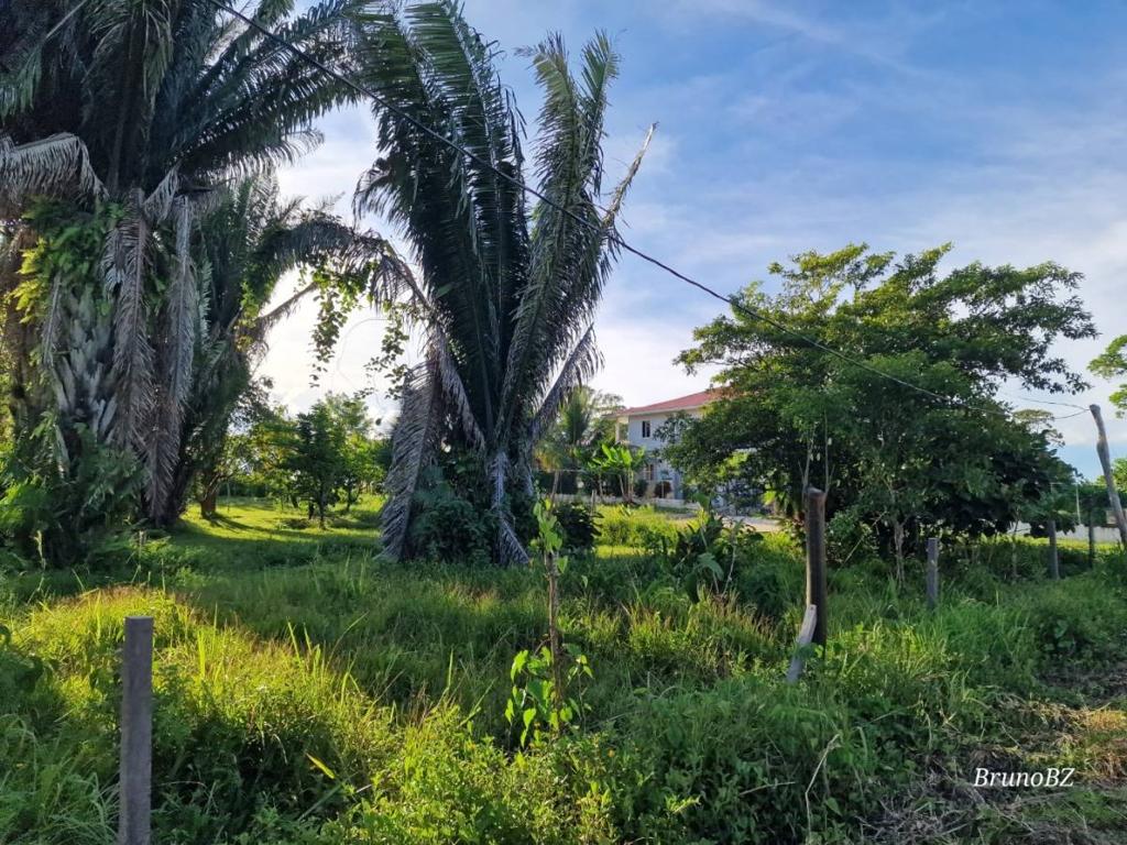 listing image with ID 67198